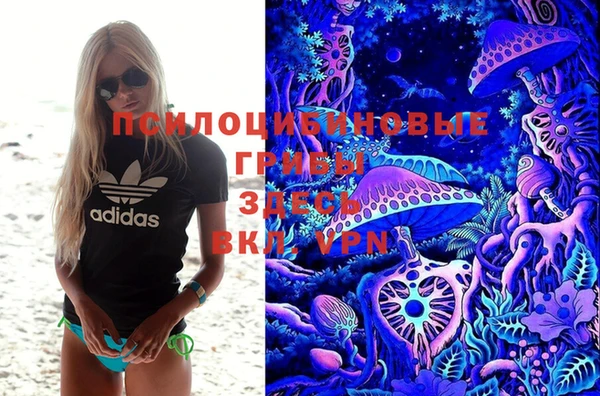 MDMA Premium VHQ Алзамай